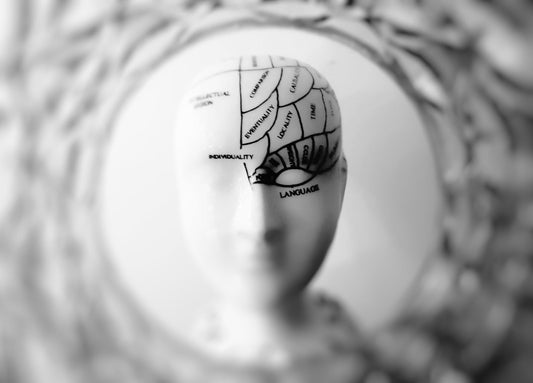 Exploring the Effects of CBD on the Brain - Farmulated