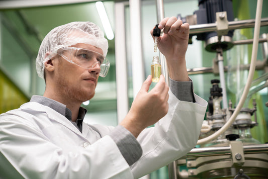 How Is CBD Made? Your Comprehensive Guide to Understanding the Process - Farmulated