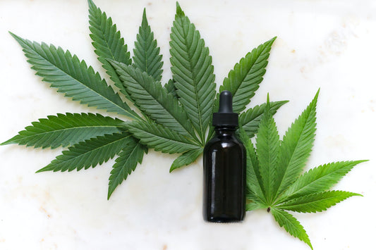 CBD and OCD: A Promising Treatment for Obsessive Compulsive Disorder - Farmulated