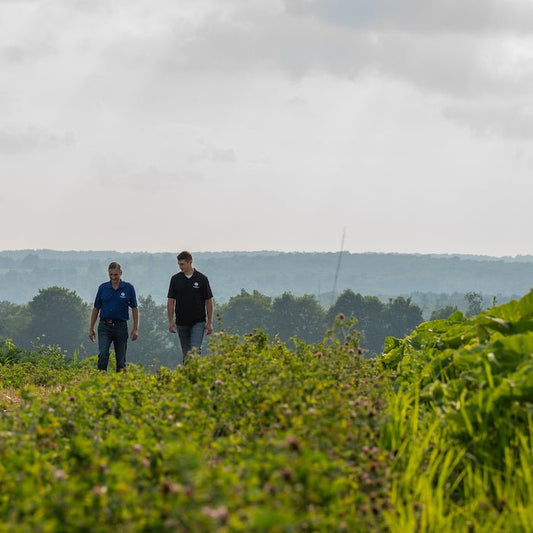 Addressing Rural Health with CBD - Farmulated