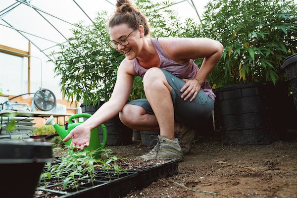 National Public Health Week: Health Rankings, Habits, and Reflections - Farmulated