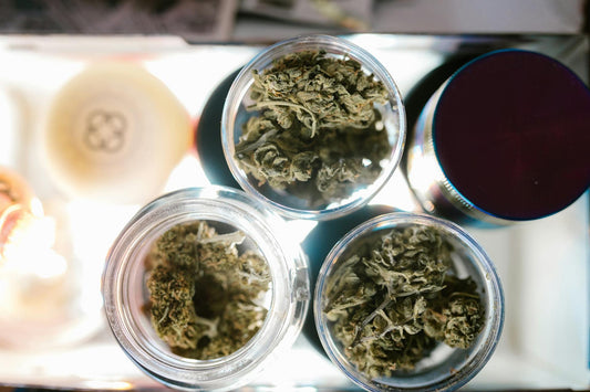 Jars to test if CBD smells like weed