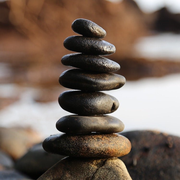 When Homeostasis Requires Help: Maintaining Balance with CBD - Farmulated