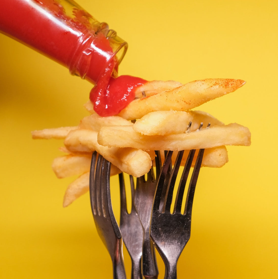 How CBD Prevents Obesity: Gina Talks Food, Fat Cells & More - Farmulated