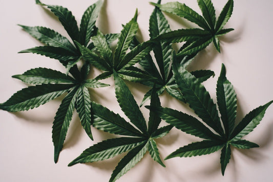 Farmulated vs. Koi CBD Ltd: Which is Right for You? - Farmulated