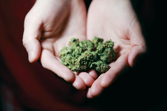 Can You Take CBD Oil for Lupus? - Farmulated