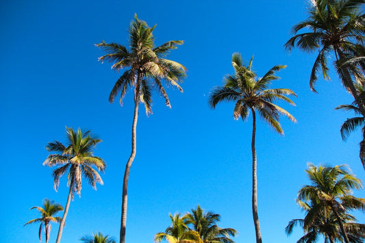 Is CBD legal in Florida? - Farmulated