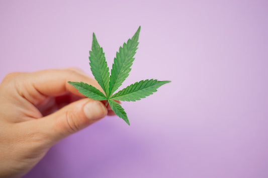 Farmulated vs. CBD American Shaman: Which is Right for You? - Farmulated