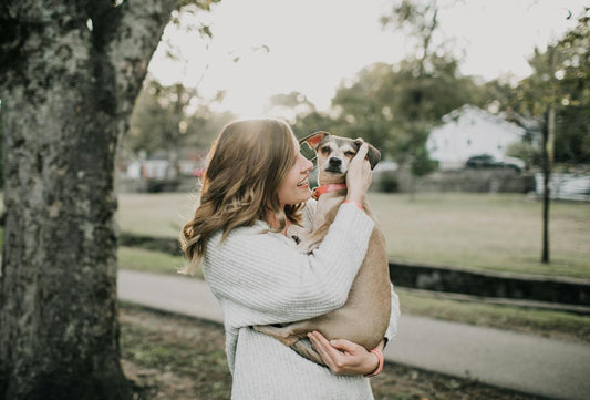 CBD Dog Treats for Anxiety: Do They Work? - Farmulated