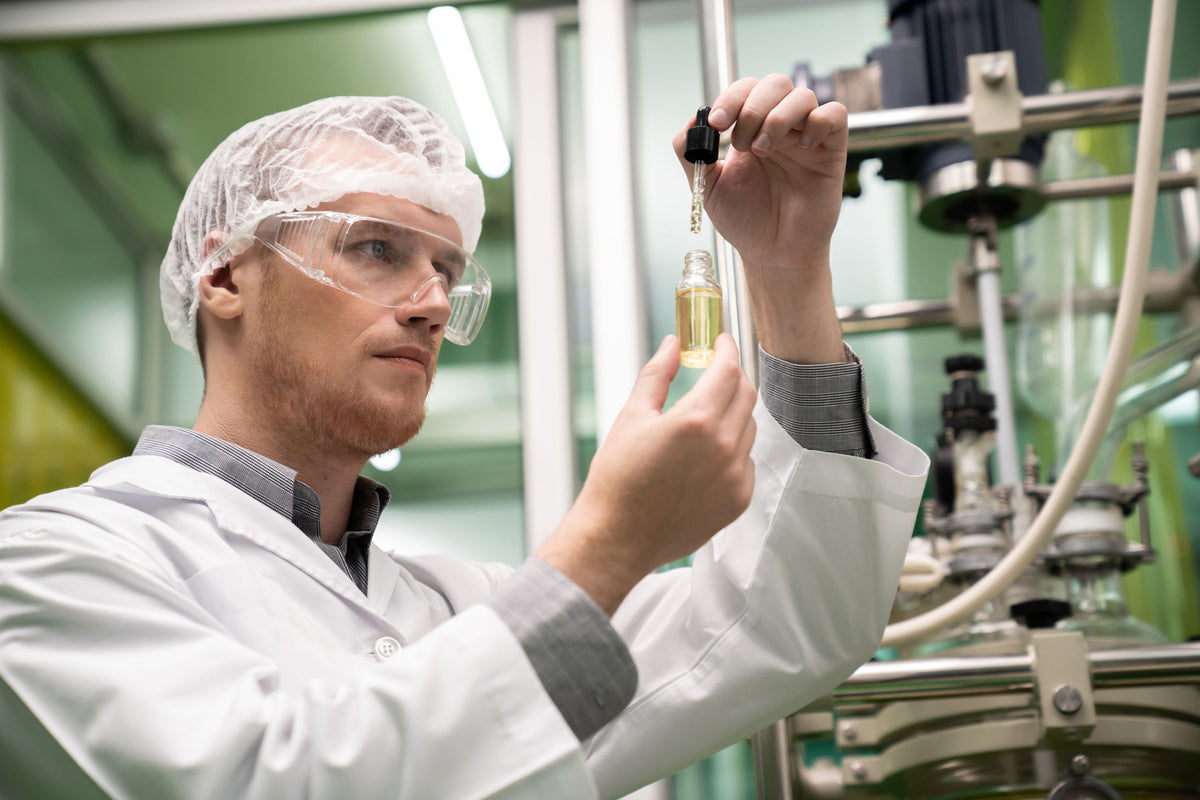 Cbd Process How Is CBD Made? Your Comprehensive Guide to Understanding the Process ...