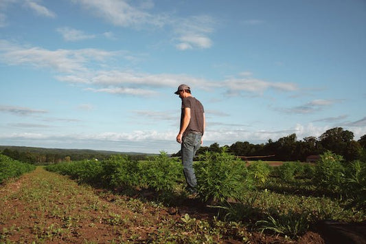 How to Celebrate National Ag Week Amid COVID-19 - Farmulated