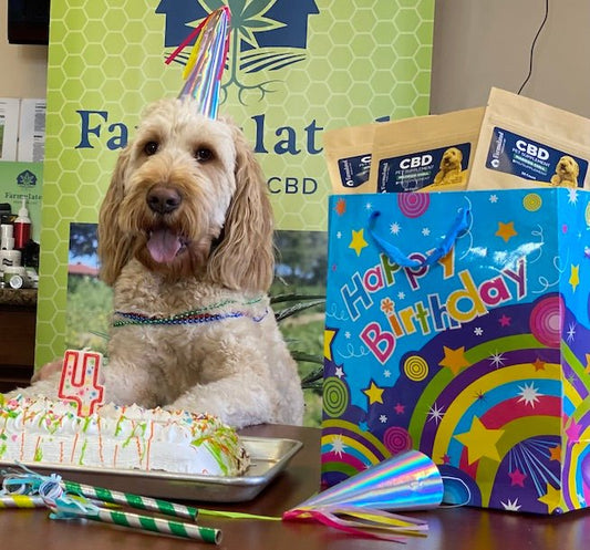 Happy Birthday to Maddox, VP of Pet Treat Tasting! - Farmulated