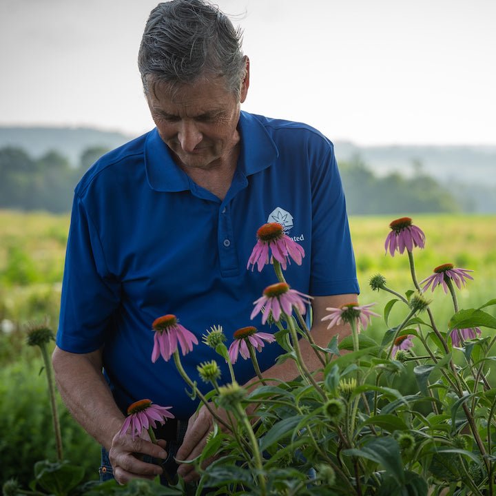 Getting Your Vitamins? A Hemp Farmer’s Plans for Farm-to-Table Supplements - Farmulated
