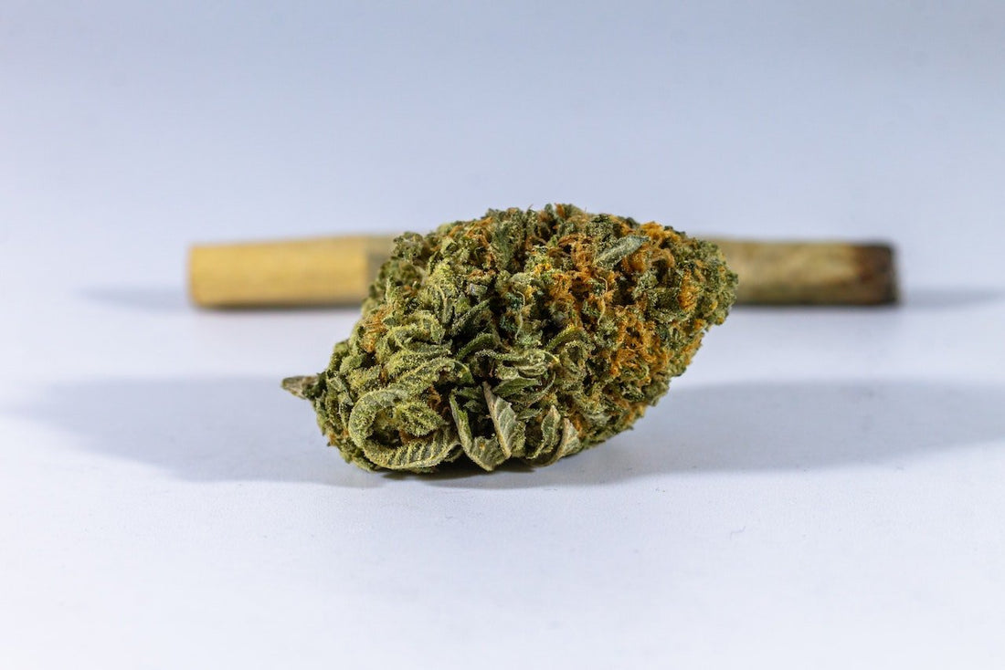 is smoking weed without tobacco healthier Comprehensive characterization of mainstream marijuana and tobacco smoke is smoking weed without tobacco healthier Comprehensive characterization of mainstream marijuana and tobacco smoke